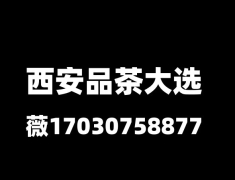 西安未央品茶海选工作室大选场子