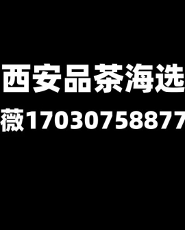 自驾户外旅游智能西安品茶工作室让每段车程都有茶香作陪
