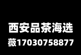 自驾户外旅游智能西安品茶工作室让每段车程都有茶香作陪
