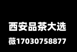 西安未央品茶海选工作室大选场子