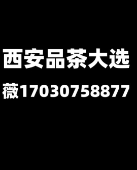 西安未央品茶海选工作室大选场子