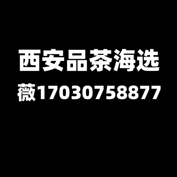 自驾户外旅游智能西安品茶工作室让每段车程都有茶香作陪
